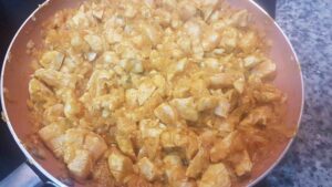 pollocurry_pollo